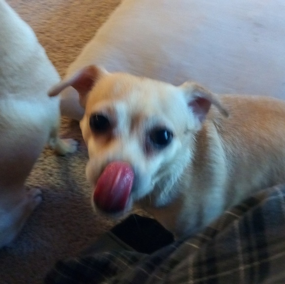 Hi I'm Eddy Rome Slim/Trim/ModernFIT Specialist - Picture 8 of 8